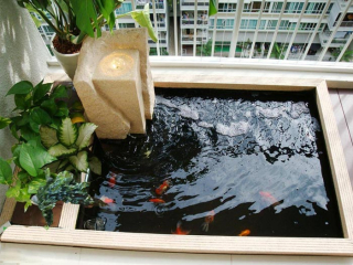 Có Nên Thiết Kế Hồ Cá Koi Mini Trên Sân Thượng