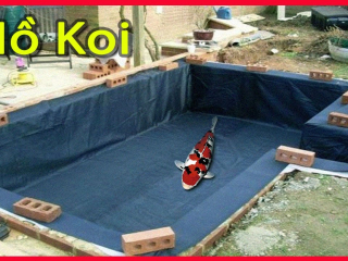 Tìm hiểu quy trình làm hồ cá koi bằng bạt cực đơn giản tại nhà